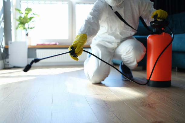 Reliable Biohazard Cleanup contractor in Palm Springs, CA by Crime Scene Cleaner Online